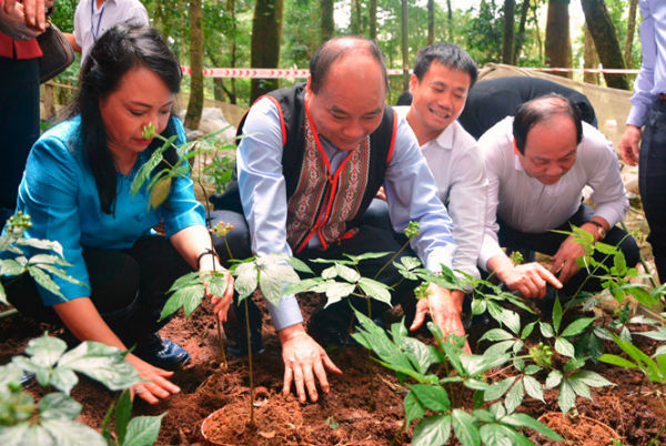 Thủ tướng Nguyễn Xuân Phúc thăm vườn sâm Ngọc Linh