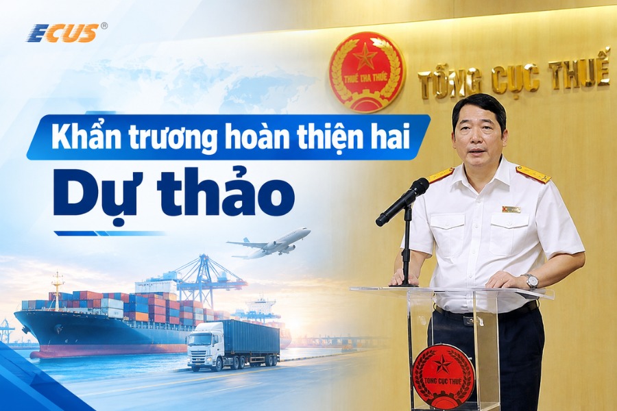 Thứ trưởng BTC đề nghị khẩn trương hoàn thiện hai Dự thảo nghị định.