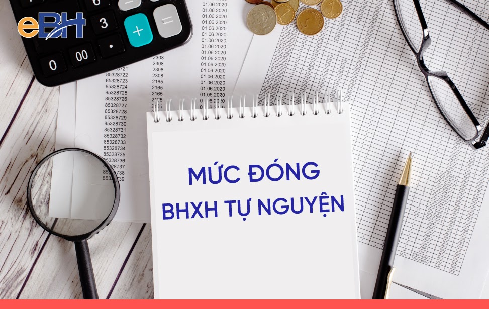 Mức đóng bảo hiểm xã hội tự nguyện: Chi tiết cách tính và phương thức đóng