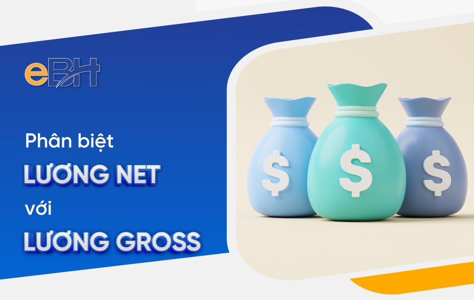 Lương net là gì? Phân biệt với lương gross