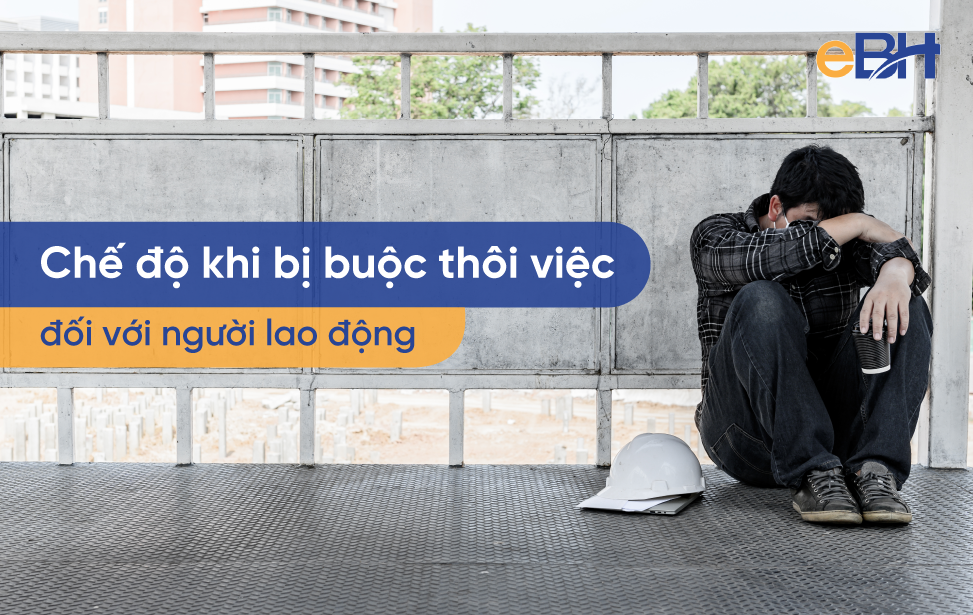 Chế độ khi bị buộc thôi việc đối với người lao động 